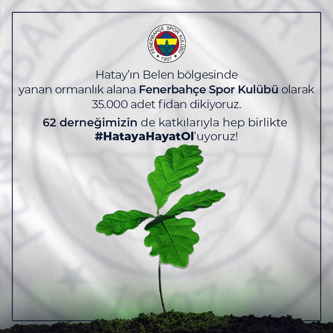 Hatay'a Hatıra Ormanı
